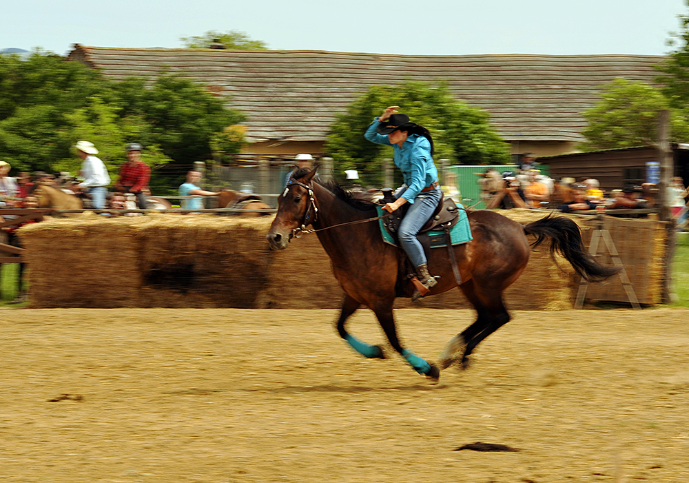 DSC_2894aweb