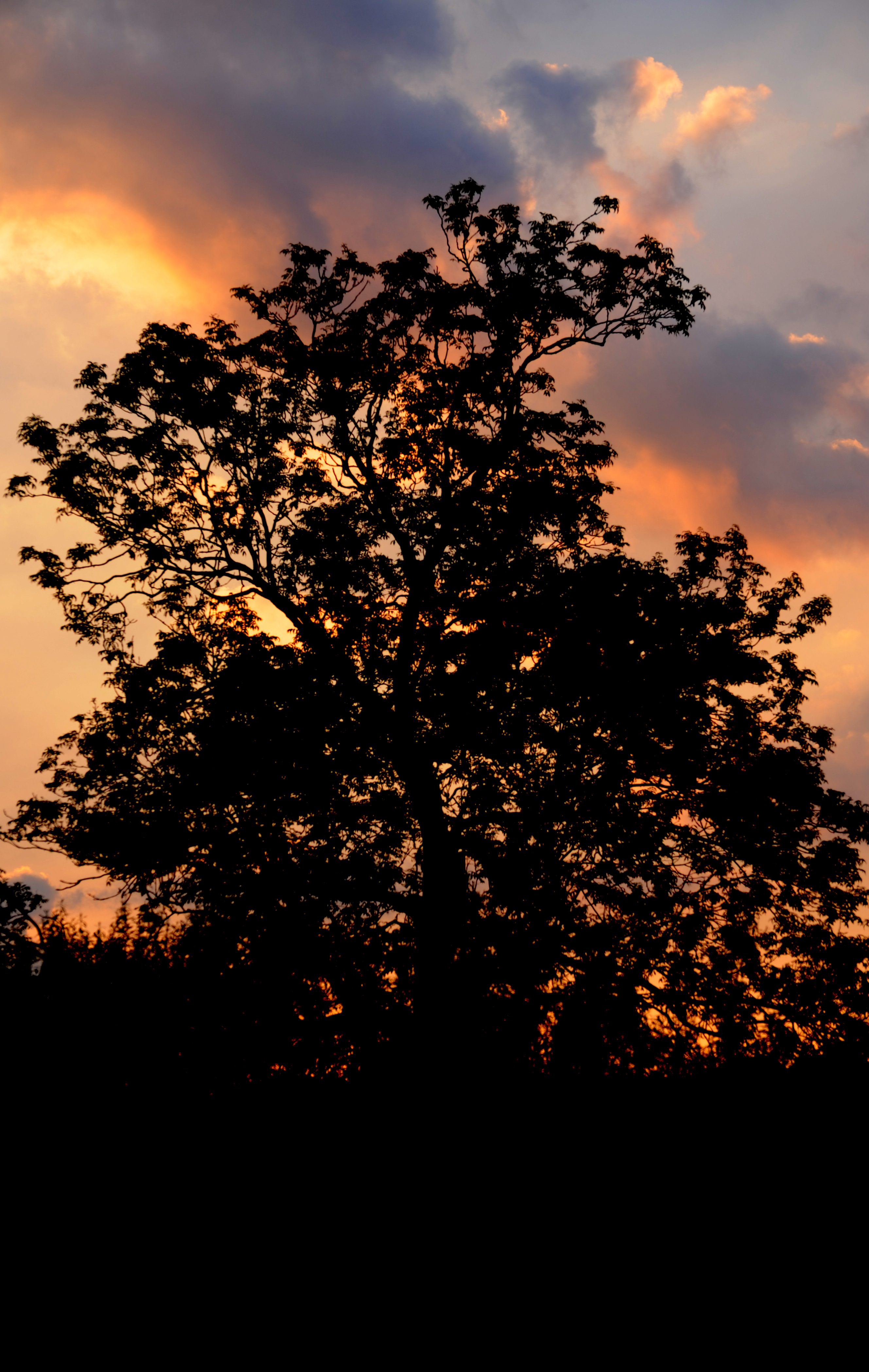 DSC_2107a