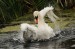 DSC_6503ccorelweb.jpg